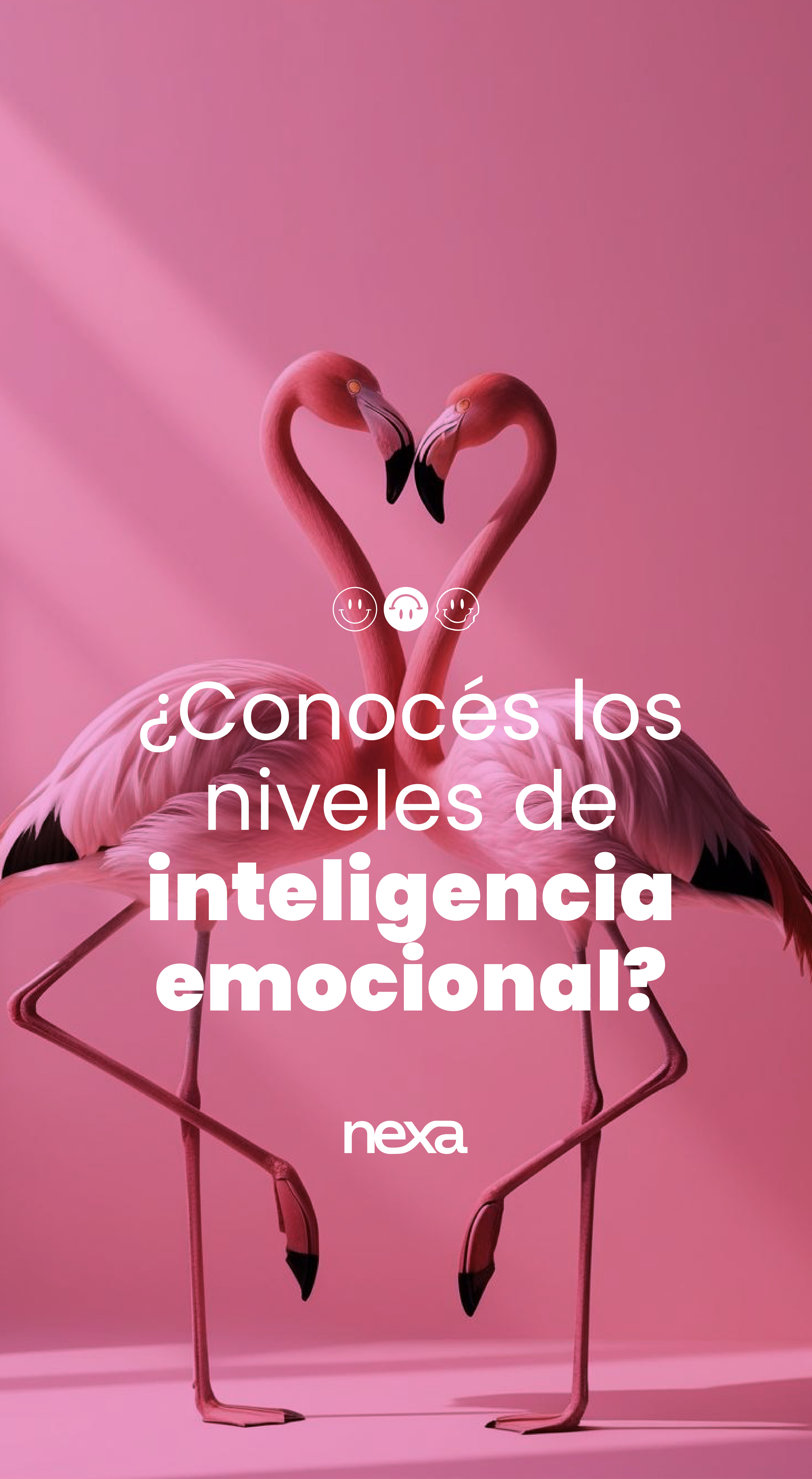 Foto de Nexa Consultora